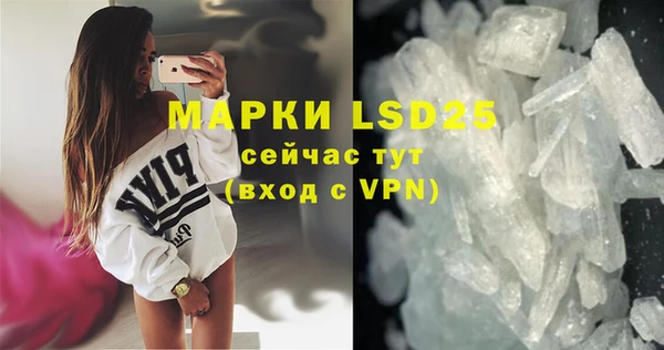 PSILOCYBIN Баксан