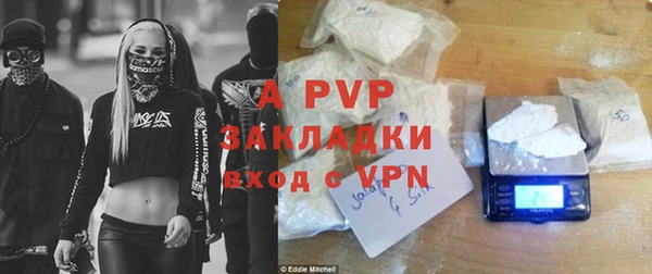 PSILOCYBIN Баксан