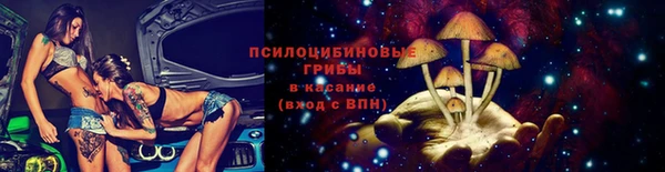PSILOCYBIN Баксан