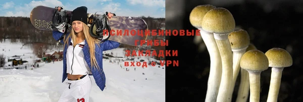 PSILOCYBIN Баксан