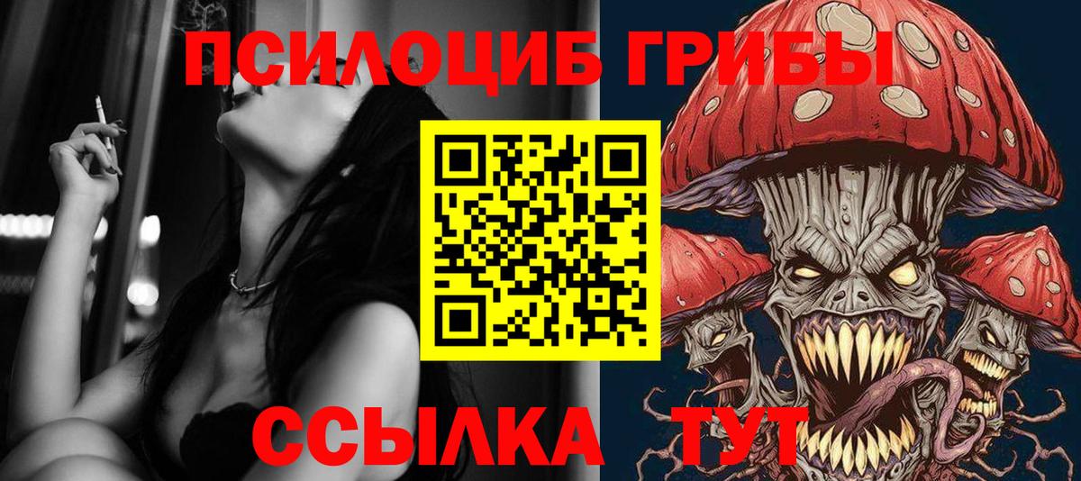 Галлюциногенные грибы Psilocybine cubensis  Вход с VPN  Гудермес 