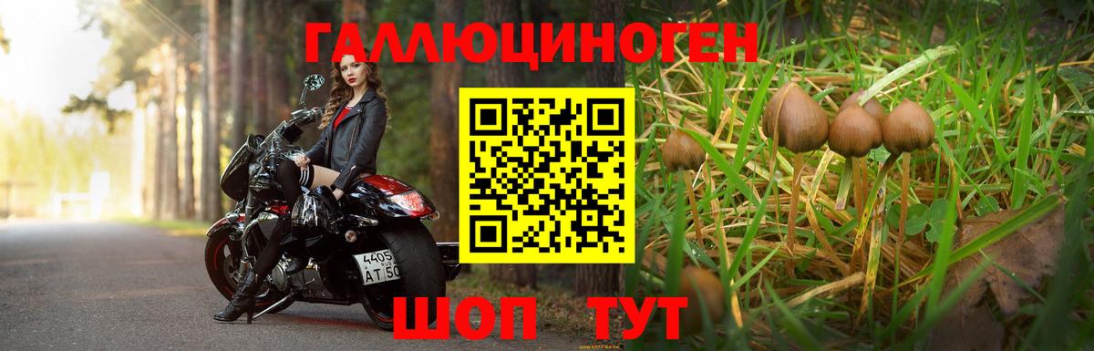 хочу   Гудермес  Псилоцибиновые грибы мухоморы  Псилоцибиновые грибы Magic Shrooms 