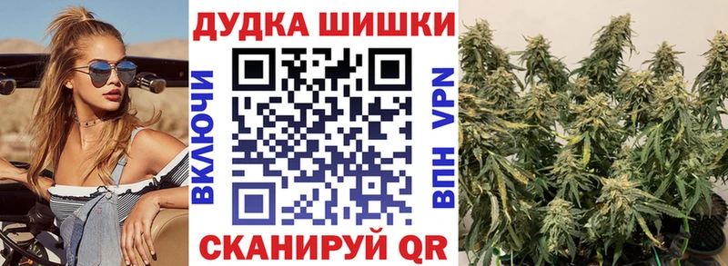 Марихуана семена  hydra ссылки  Гудермес 